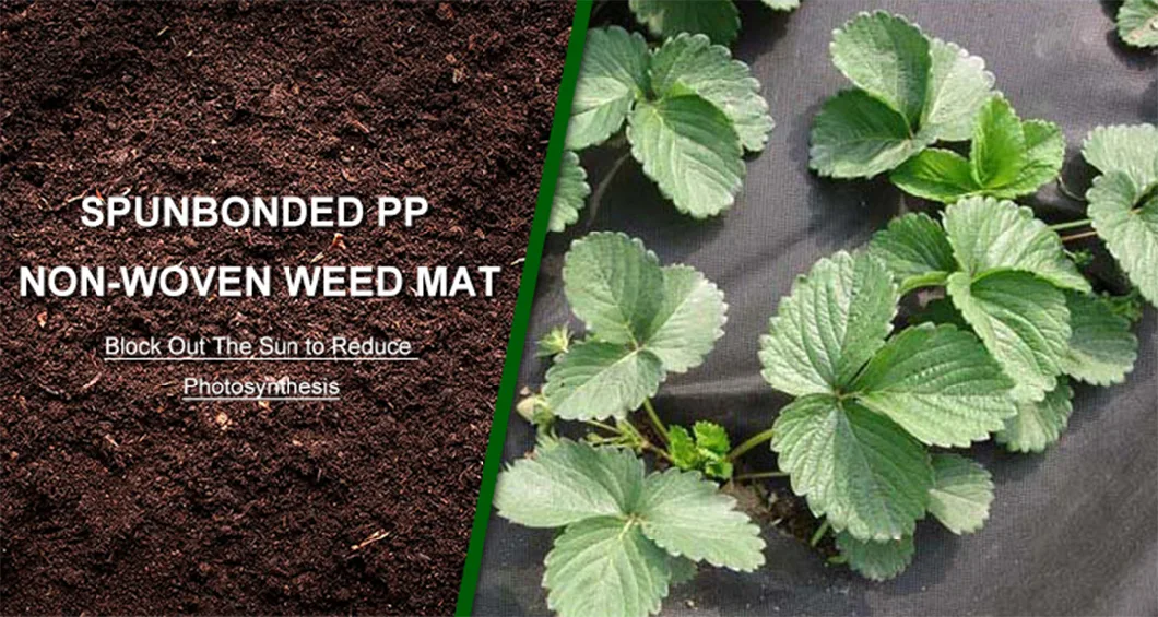 PP Spunbond Fabric Anti UV Weed Control Fabric Biodegradable Nonwoven Weed Barrier Weed Mat