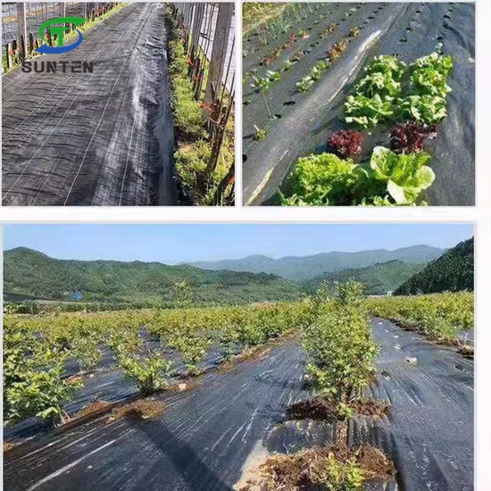 Черный/зеленый/белый 50% натуральный ПП/ПЭ/пластик, тканый геотекстиль для борьбы с сорняками/ткань для сельского хозяйства/сада/ландшафта